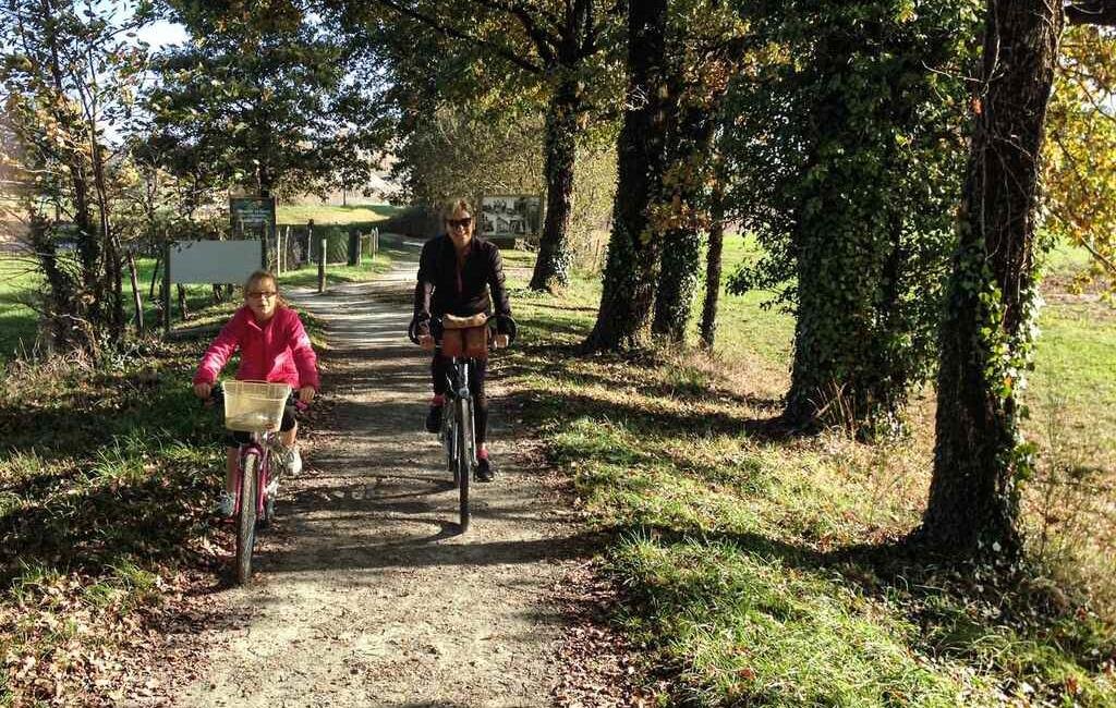 Thiviers Végétalisation - Un Nouvel Elan pour Thiviers